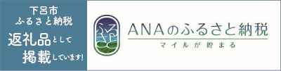 ANAふるさと納税