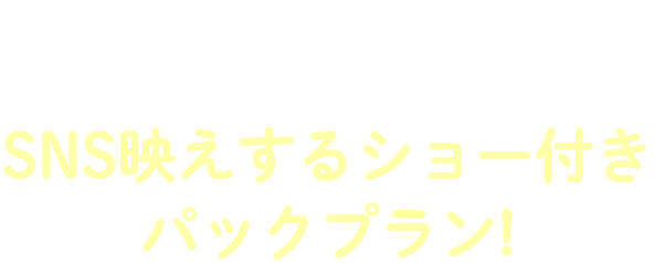 plan02飛騨牛ステーキ付き会席デビュープラン!